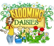 Blooming daisies