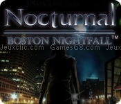 Nocturnal: boston nightfall