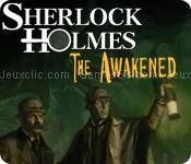 Sherlock holmes: the awakened