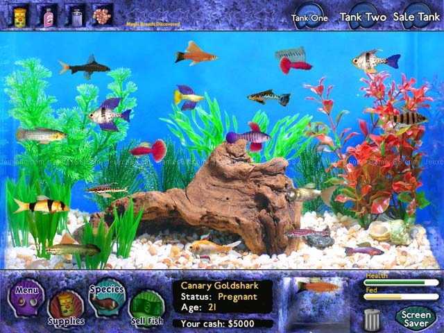 Fish tycoon