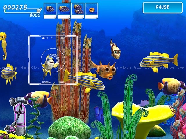 Tropical dream: underwater odyssey