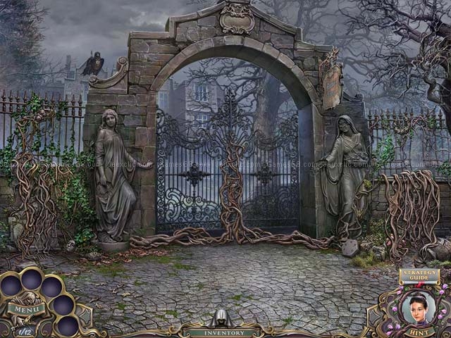 Witch hunters: stolen beauty collector`s edition