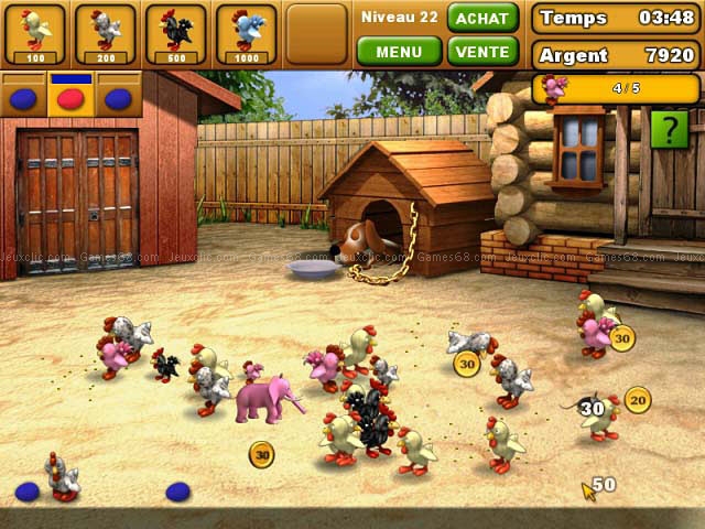 Chicken chase