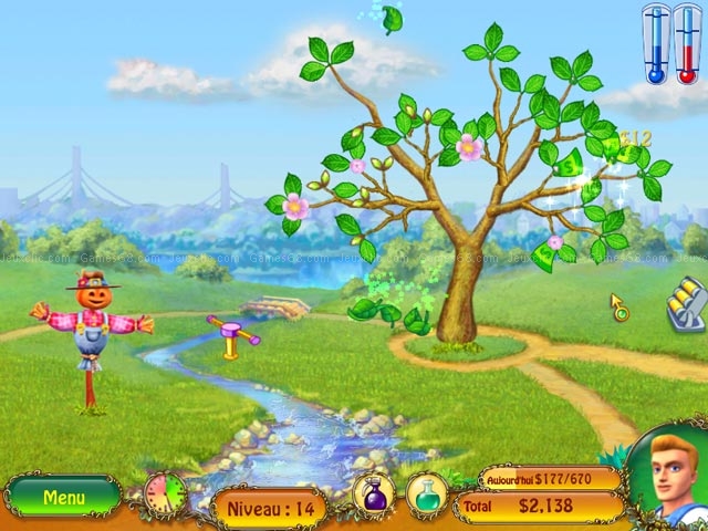 Money tree