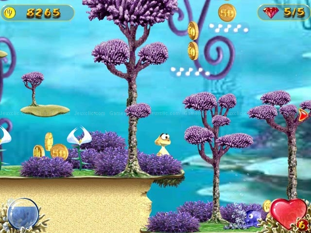 Turtle odyssey