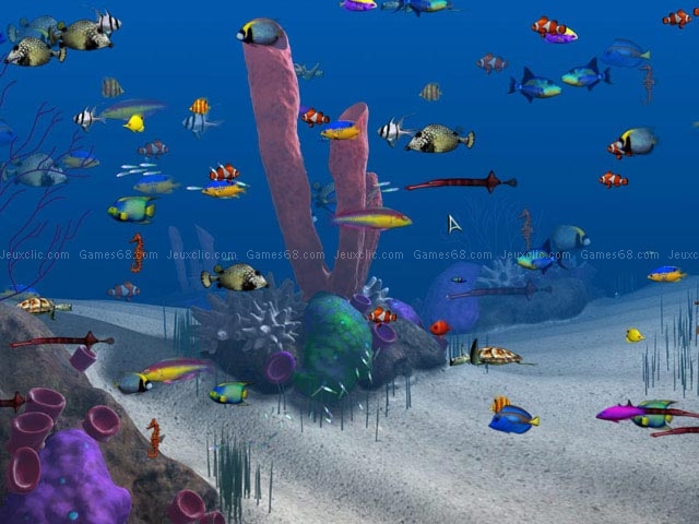 Big kahuna reef