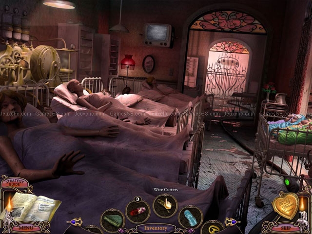 Mystery case files®: escape from ravenhearst collectors edition