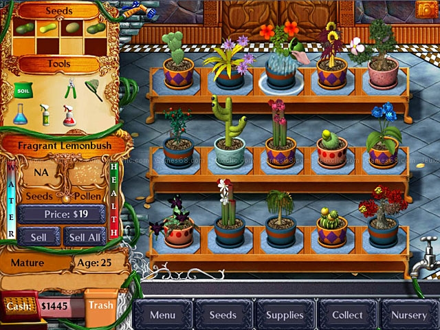 Plant tycoon