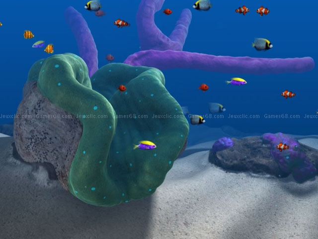 Big kahuna reef