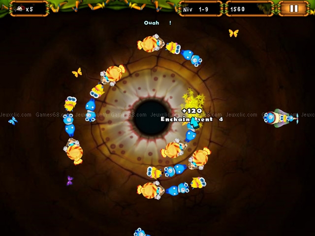 Conga bugs