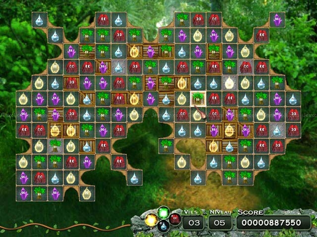 Druids: en quête du grimoire