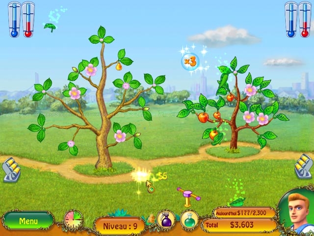 Money tree