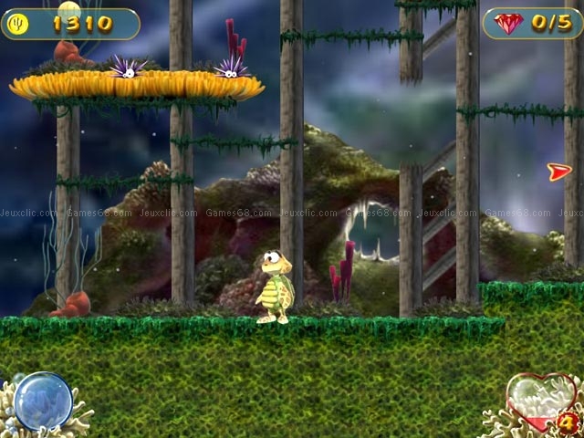 Turtle odyssey