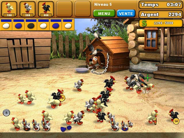 Chicken chase