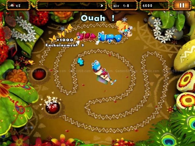 Conga bugs