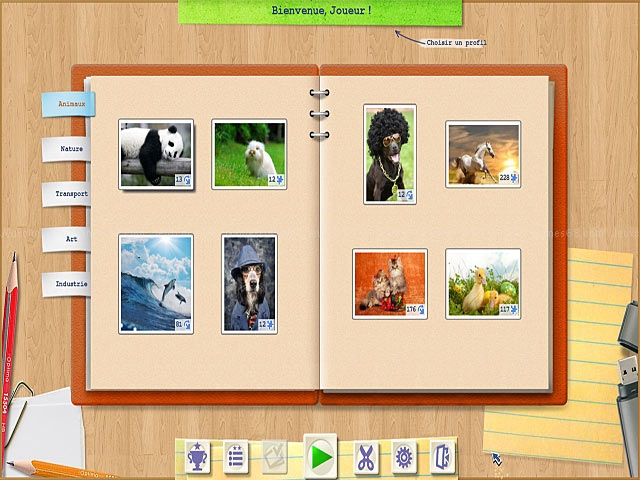 Jigsaw boom